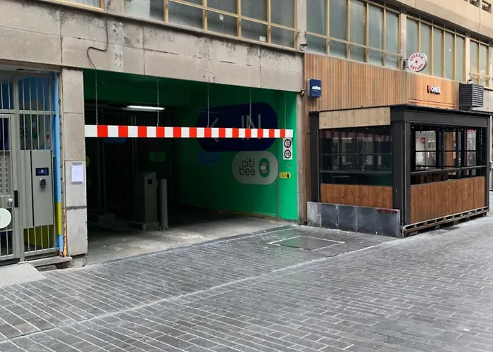 Sauvignon Centrum Met Garagestaanplaats *