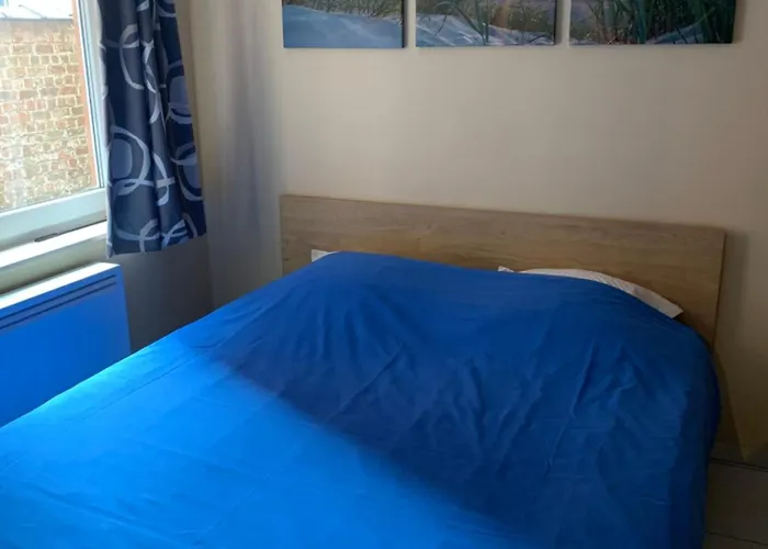 Sauvignon Centrum Met Garagestaanplaats