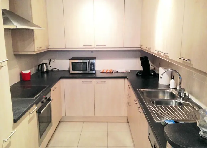 Sauvignon Centrum Met Garagestaanplaats * Ostend